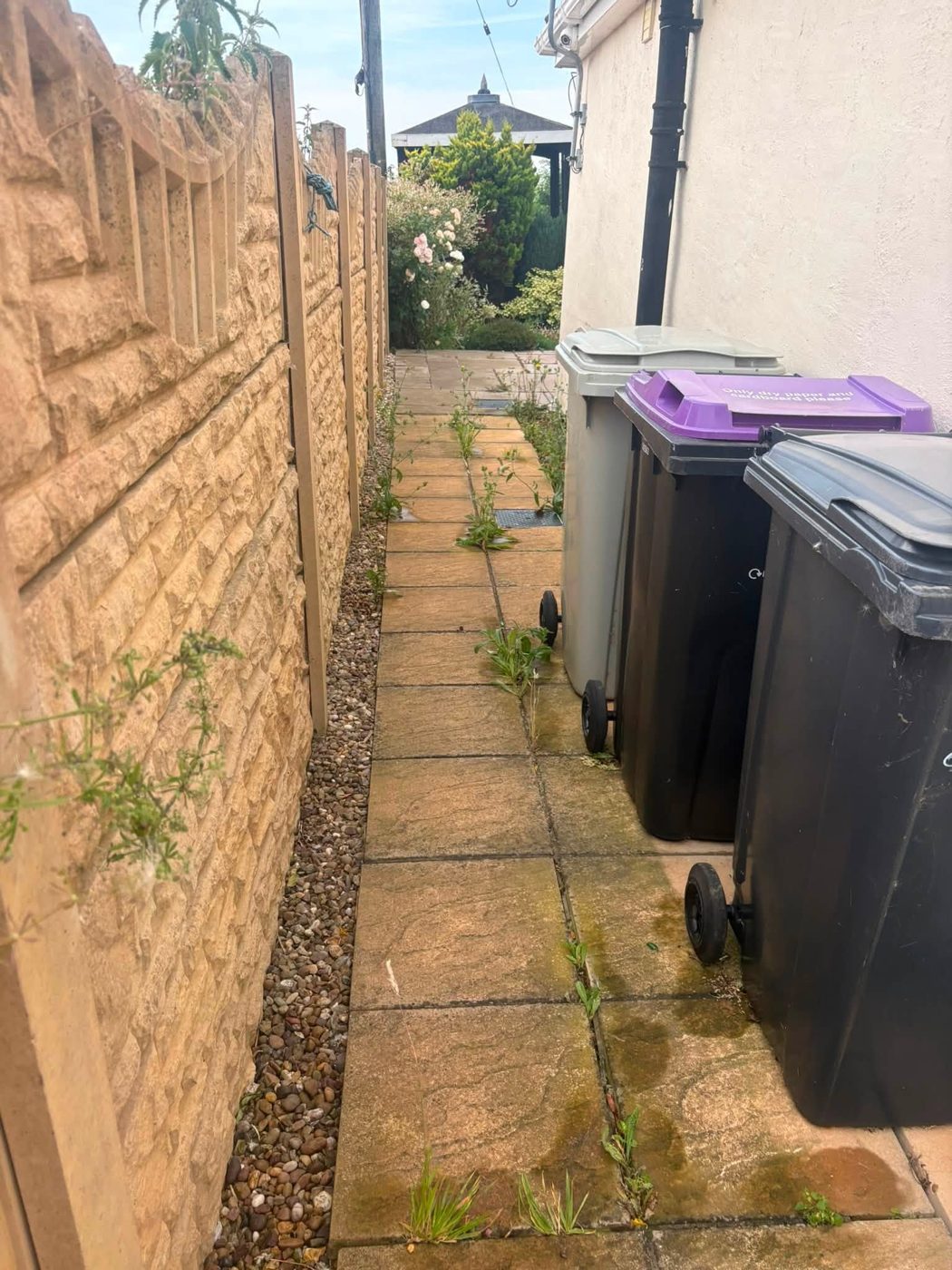 Weedy path before