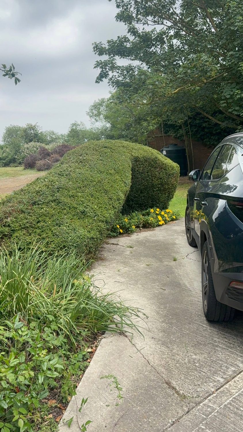 Tidy front garden and driveway